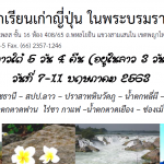 ลาวใต้