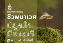 เชิญชวนสมาชิกสมาคมนักเรียนเก่าญี่ปุ่นฯ เข้าร่วมโครงการศึกษาดูงาน “ชีวพนาเวช/ปลูกป่ามิยาวากิ” ณ บริษัท โตโยต้า บ้านโพธิ์