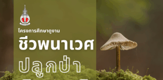 เชิญชวนสมาชิกสมาคมนักเรียนเก่าญี่ปุ่นฯ เข้าร่วมโครงการศึกษาดูงาน “ชีวพนาเวช/ปลูกป่ามิยาวากิ” ณ บริษัท โตโยต้า บ้านโพธิ์