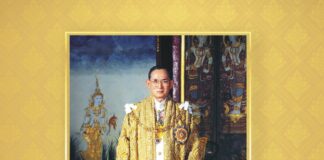 Newsletter ประจำเดือนธันวาคม พ.ศ. 2568